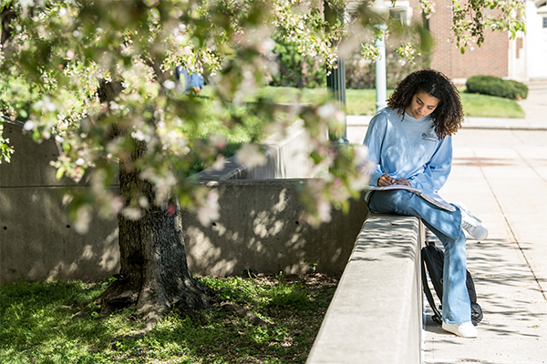 Image of a student studying outside.