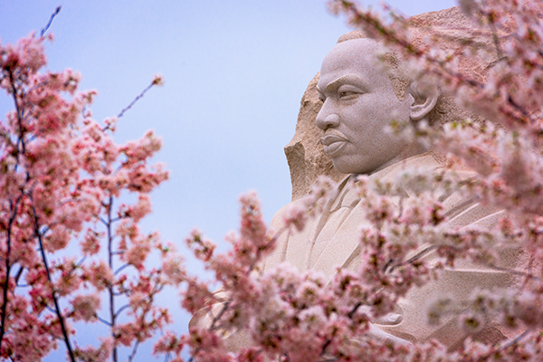 The memorial to the civil rights leader Martin Luther King, Jr. during the spring season in West Potomac Park.