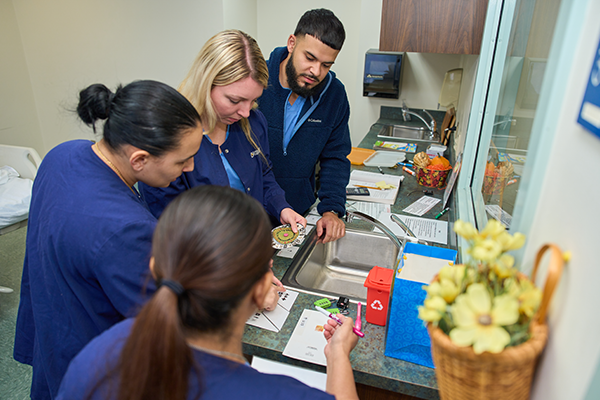 Image of undergraduate nursing students reviewing one of the puzzles in the escape room.